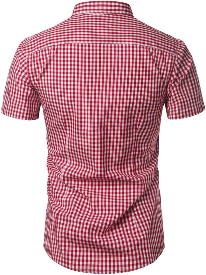 Imogen | Stylish Light Blue Gingham Short Sleeve Button-Down Shirt
