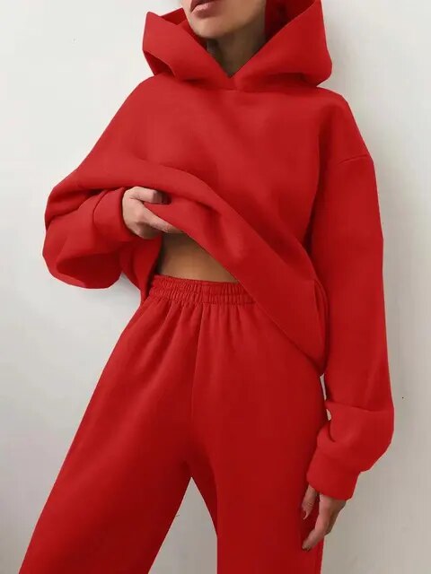 Phoenix | Stylish Hoodie And Jogger Set For Women