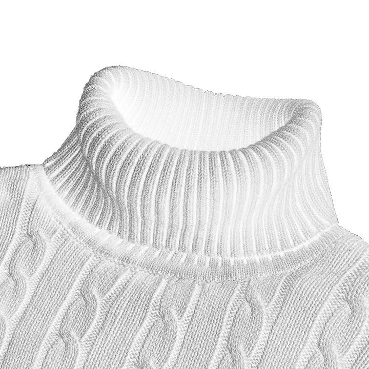 Eloise | Elegant Ribbed Turtleneck Sweater For Men